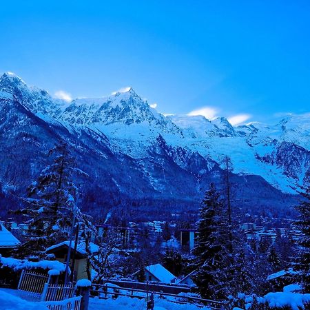 "Chalet Bobo" Cosy & Magnifique Vue Chx Sud 霞慕尼 外观 照片