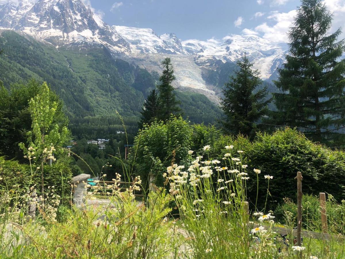 "Chalet Bobo" Cosy & Magnifique Vue Chx Sud 霞慕尼 外观 照片